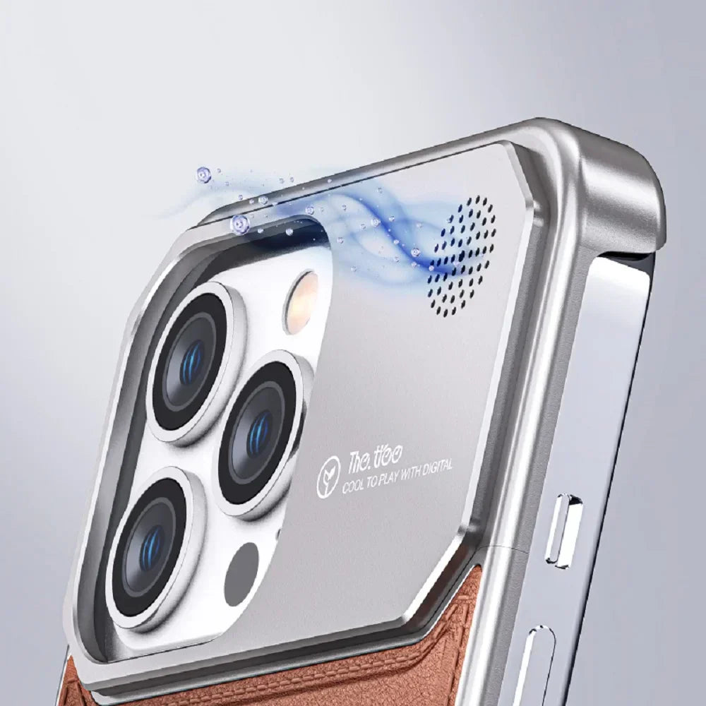 Luxury Leather Titanium Case