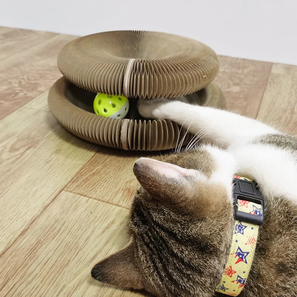 Magic Foldable Cat Scratch Board