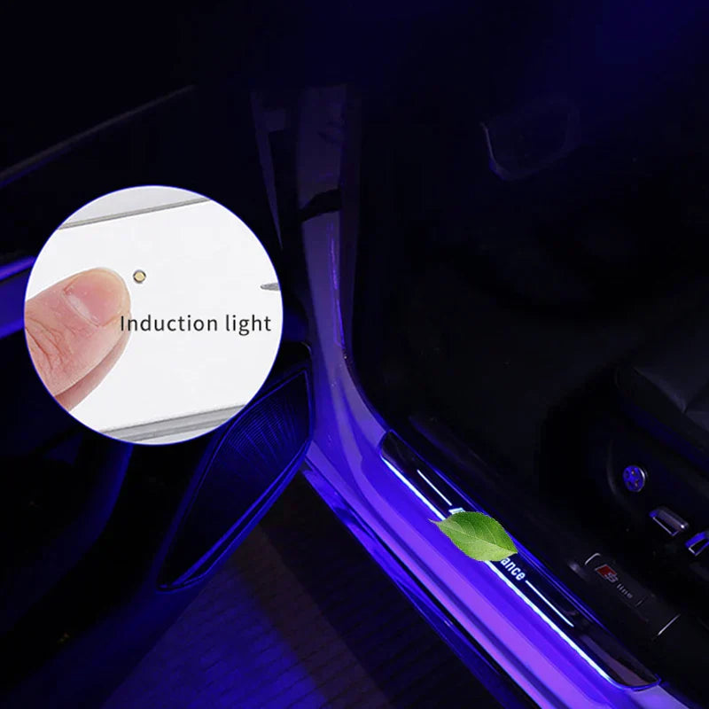 LED Door Sills Pro