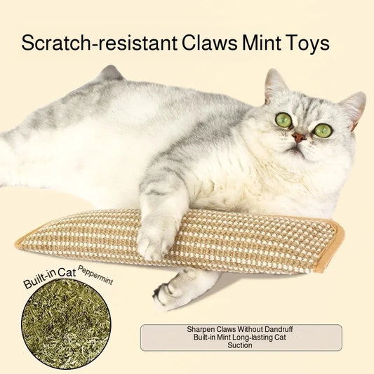 Interactive Catnip Chew Toy