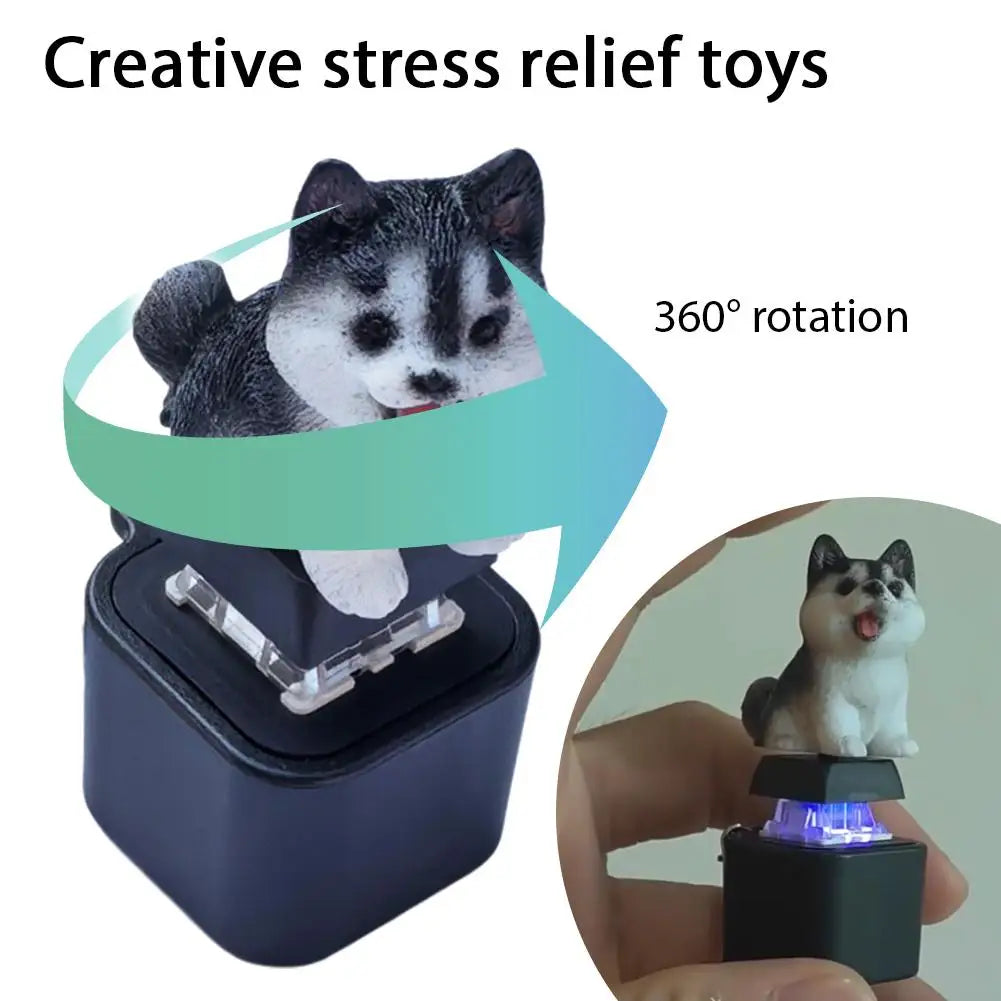 Frog Croaking Fidget Toy