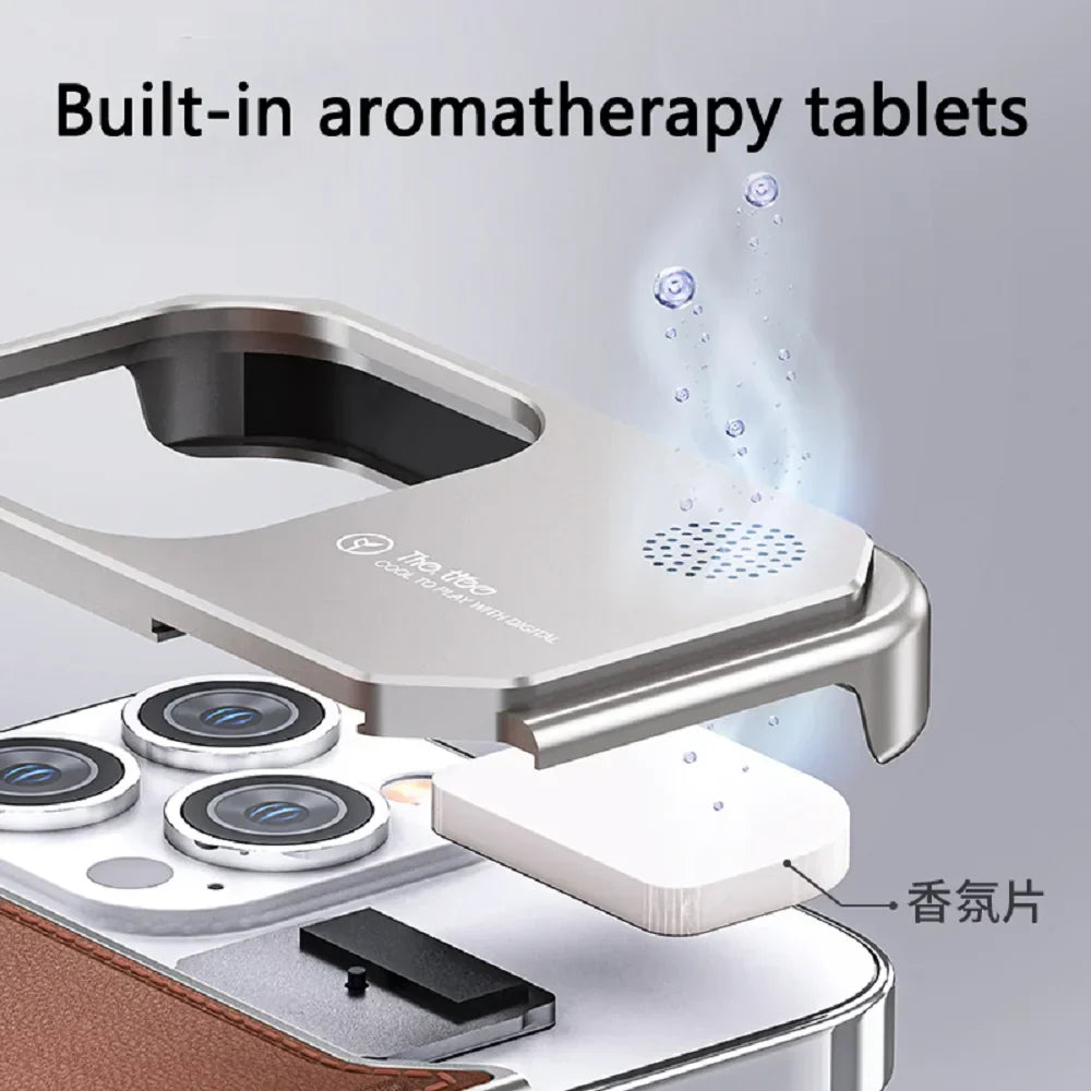 Luxury Leather Titanium Case