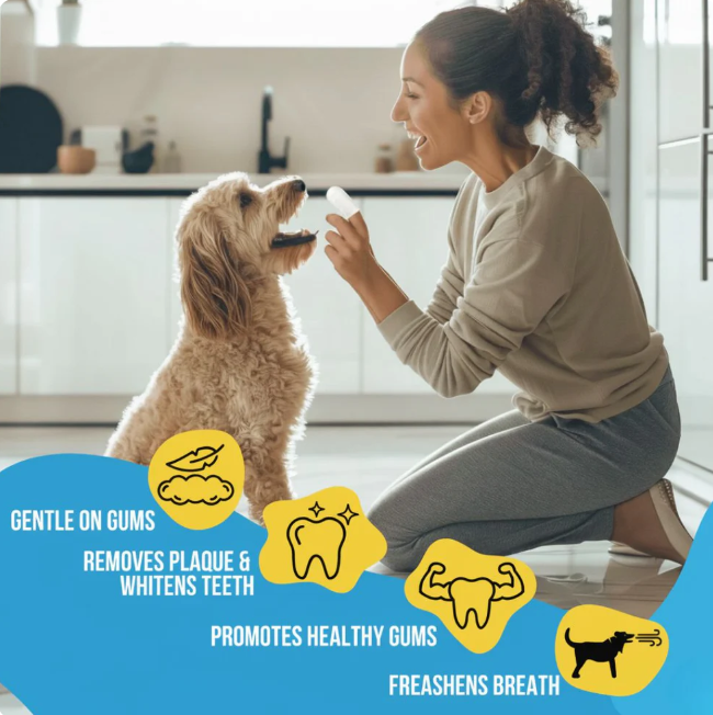 FreshWipes Kit – Protects Against Dental Diseases