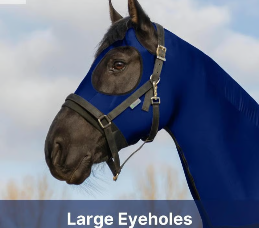 🐴 Resistance Premium Horse Full Body Slinky with Full Zipper Face & Forelock Saver