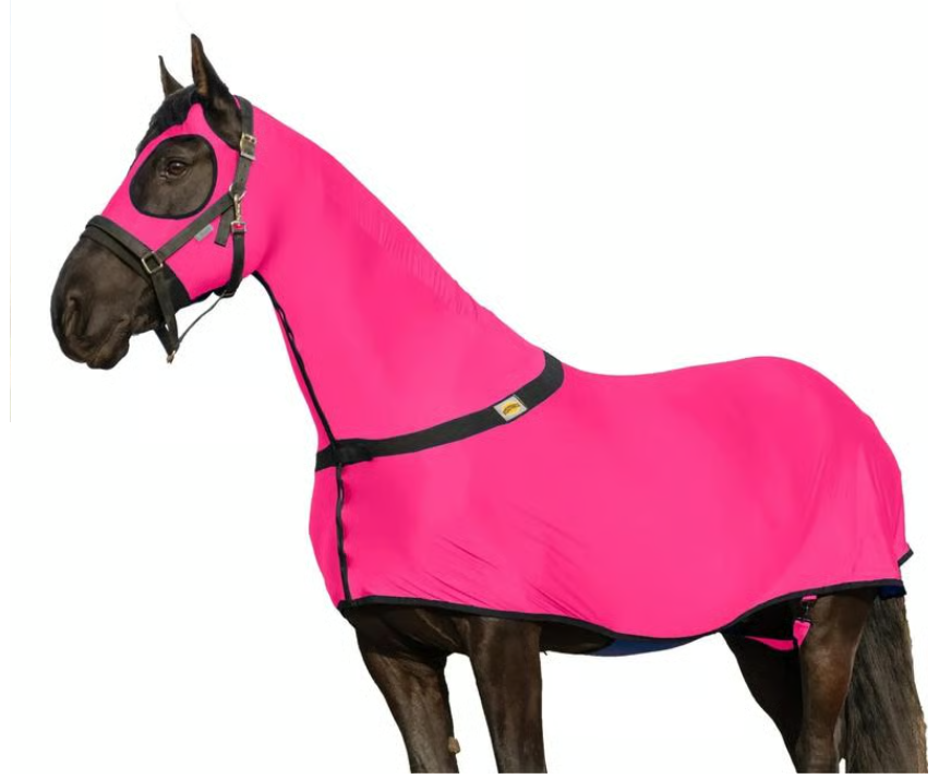 🐴 Resistance Premium Horse Full Body Slinky with Full Zipper Face & Forelock Saver