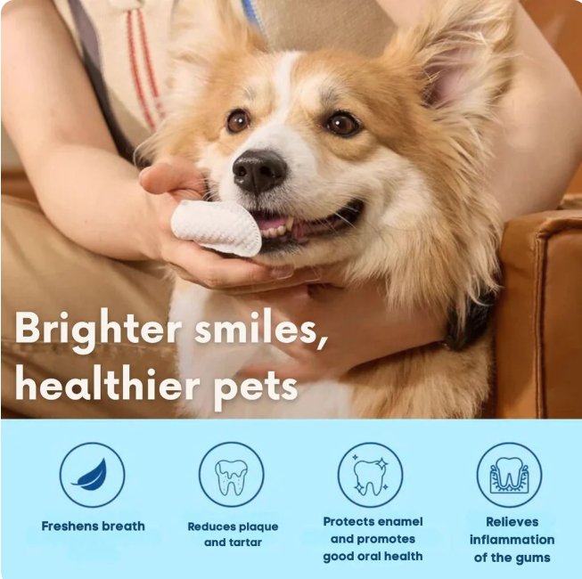 FreshWipes Kit – Protects Against Dental Diseases