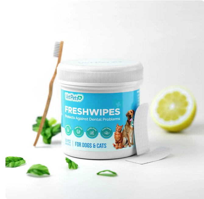 FreshWipes Kit – Protects Against Dental Diseases