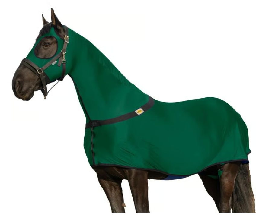 🐴 Resistance Premium Horse Full Body Slinky with Full Zipper Face & Forelock Saver