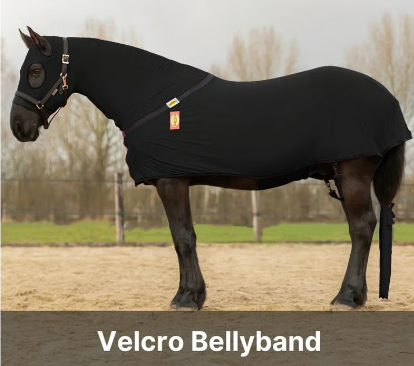 🐴 Resistance Premium Horse Full Body Slinky with Full Zipper Face & Forelock Saver
