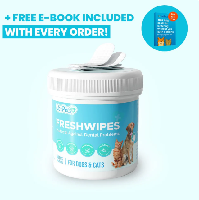FreshWipes Kit – Protects Against Dental Diseases