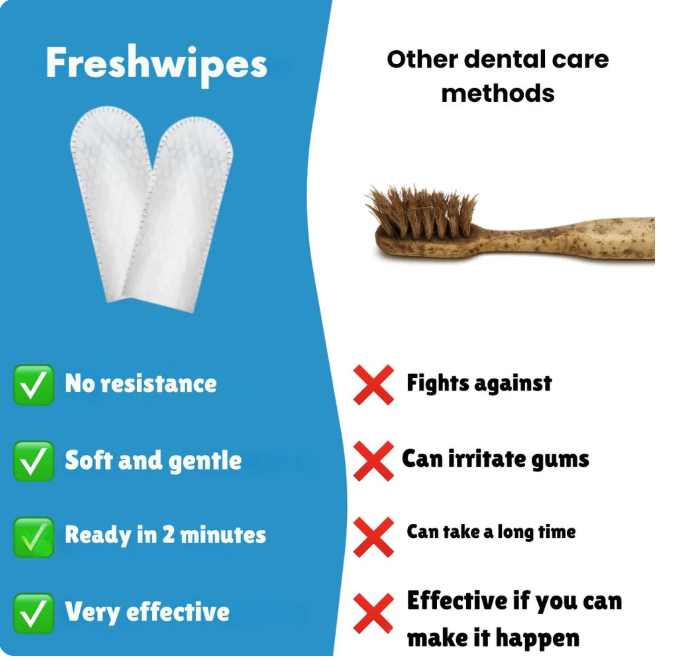 FreshWipes Kit – Protects Against Dental Diseases