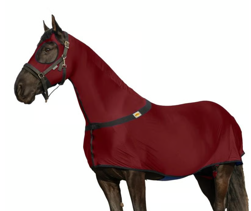 🐴 Resistance Premium Horse Full Body Slinky with Full Zipper Face & Forelock Saver