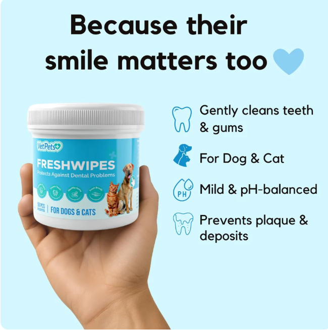 FreshWipes Kit – Protects Against Dental Diseases