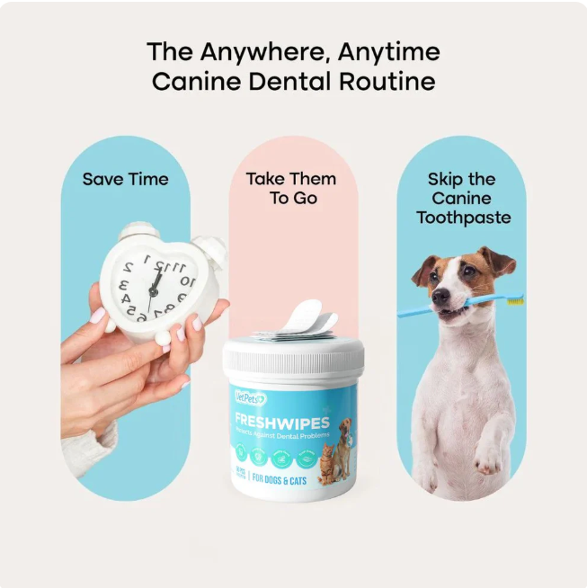 FreshWipes Kit – Protects Against Dental Diseases