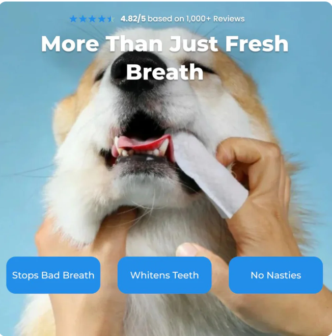 FreshWipes Kit – Protects Against Dental Diseases