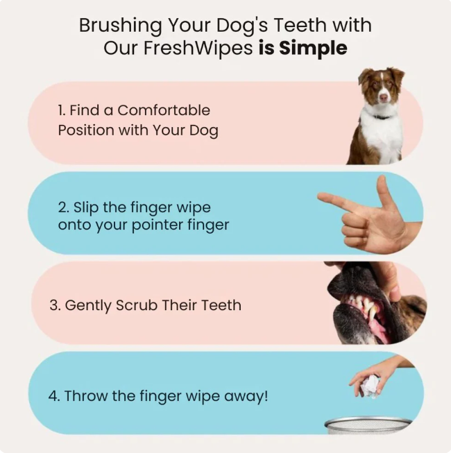 FreshWipes Kit – Protects Against Dental Diseases