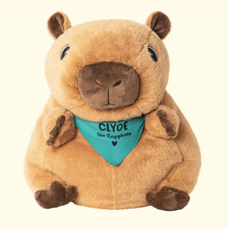 Weighted Stuffed Animals