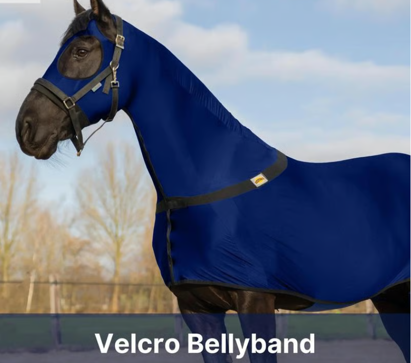 🐴 Resistance Premium Horse Full Body Slinky with Full Zipper Face & Forelock Saver