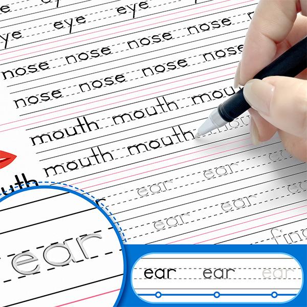 Workbook: Fast-Track Young Minds (SET)