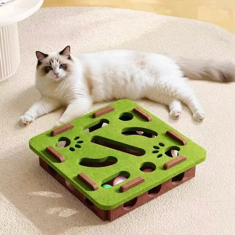 Cat Nail File Puzzle Box