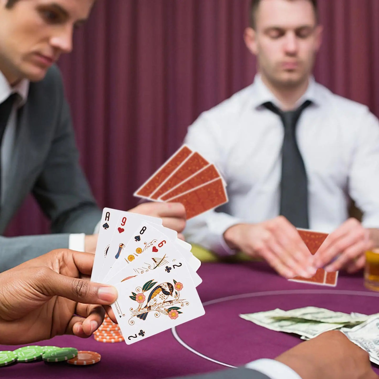 North American Birds Playing Cards